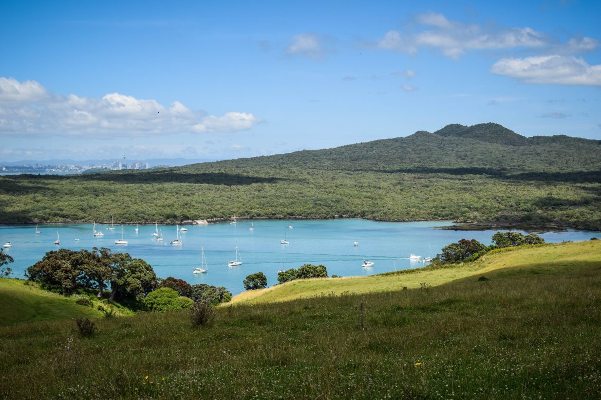 View on Rangitoto from Motutapu Island