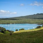 View on Rangitoto from Motutapu Island
