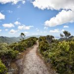 Great Barrier Island