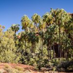 Northern Territory, Australia