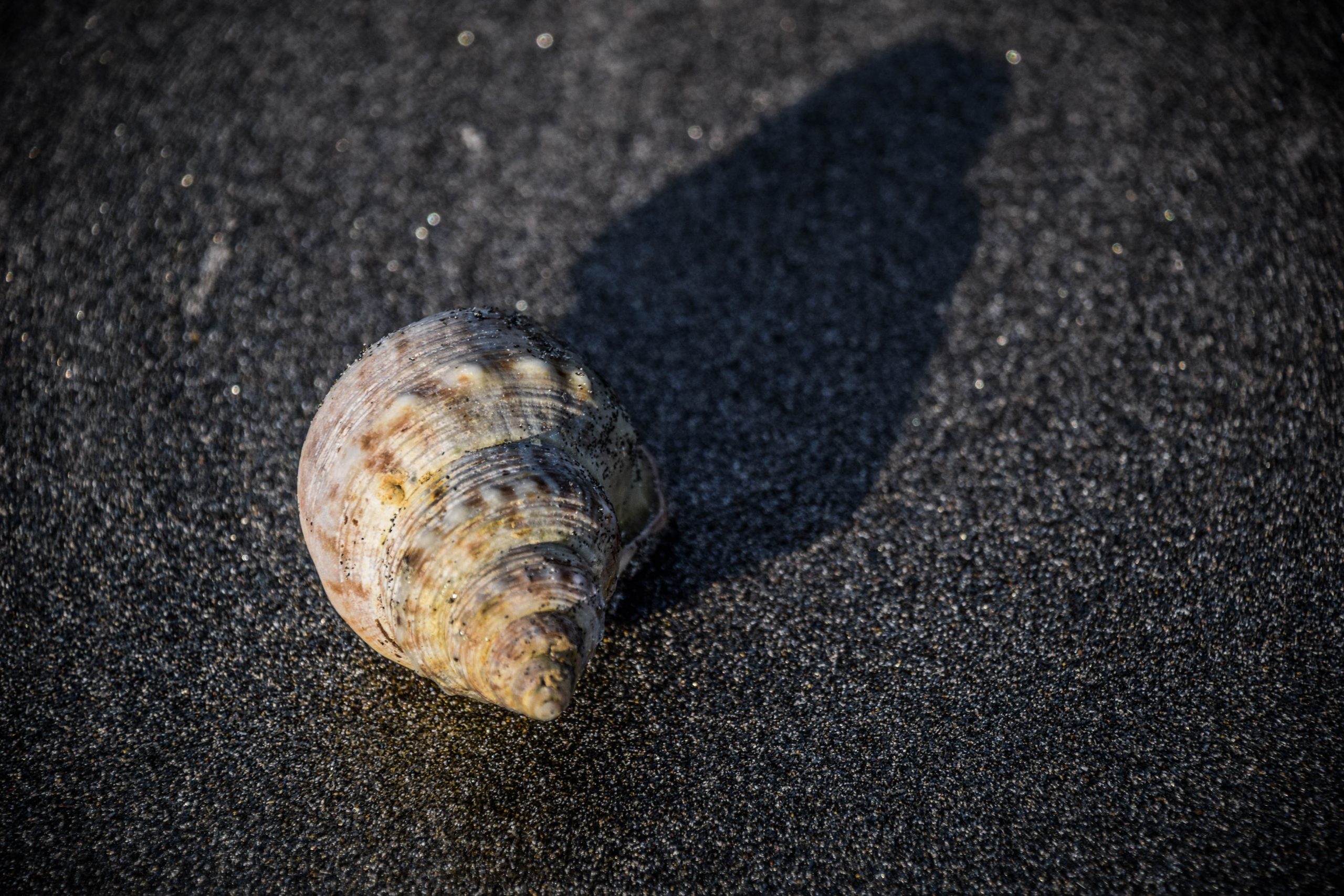 Stewart Island/Rakiura