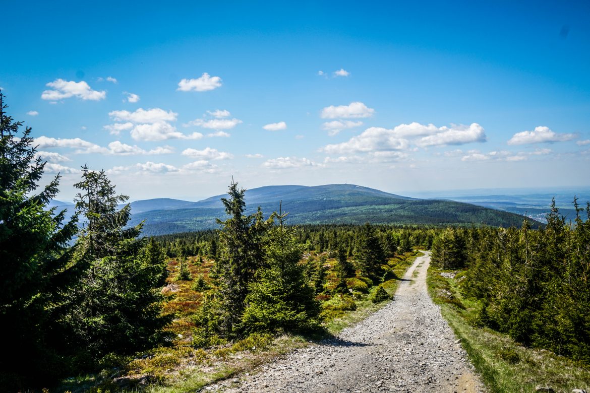 Góry Izerskie, Główny Szlak Sudecki