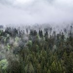 Góry Sowie Główny Szlak Sudecki