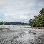 Waiheke Island, New Zealand