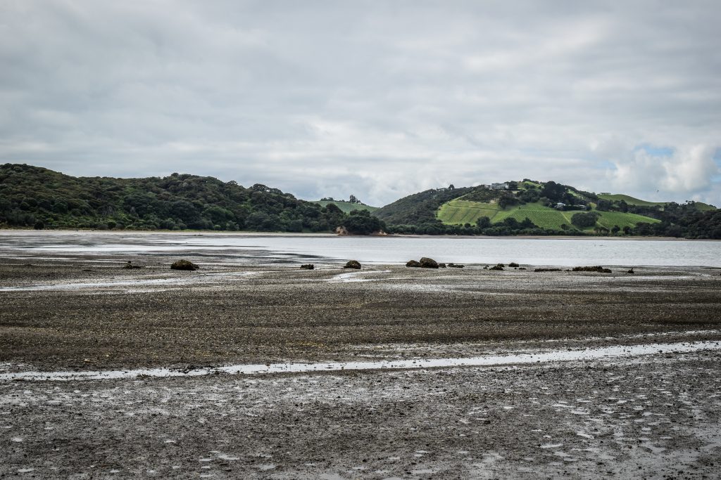 Waiheke Island, New Zealand