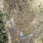 Torfowisko pod Zieleńcem, Główny Szlak Sudecki