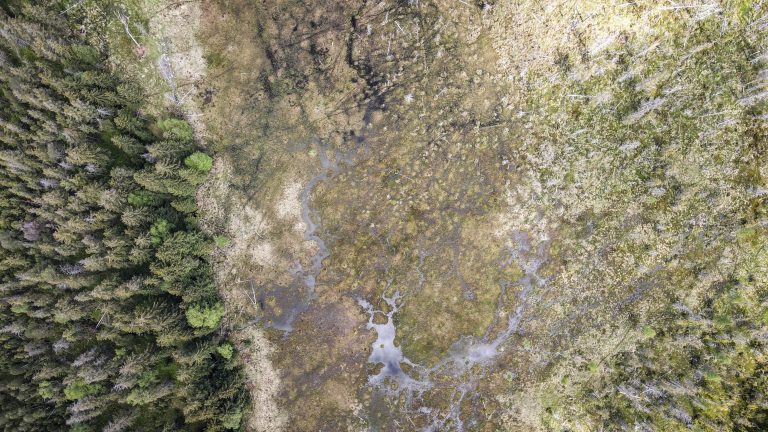Torfowisko pod Zieleńcem, Główny Szlak Sudecki
