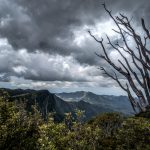 Coromandel, New Zealand