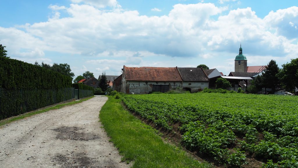 Główny Szlak Sudecki