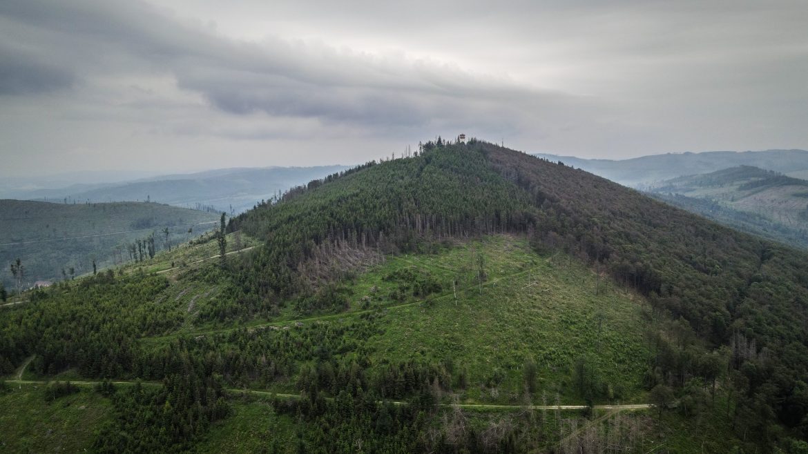 Biskupia Kopa, Główny Szlak Sudecki