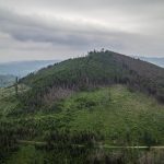 Biskupia Kopa, Główny Szlak Sudecki