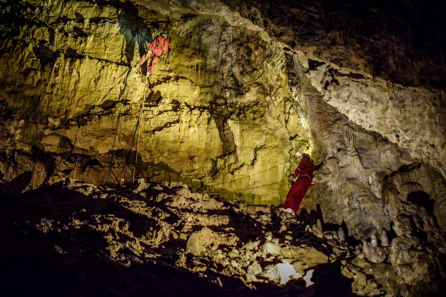Waitomo Caves: glowworms experience - Pin Your Footsteps - Travel Blog