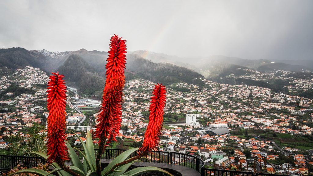 Funchal, Madeira, Portugal