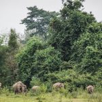 Kui Buri National Park, Thailand