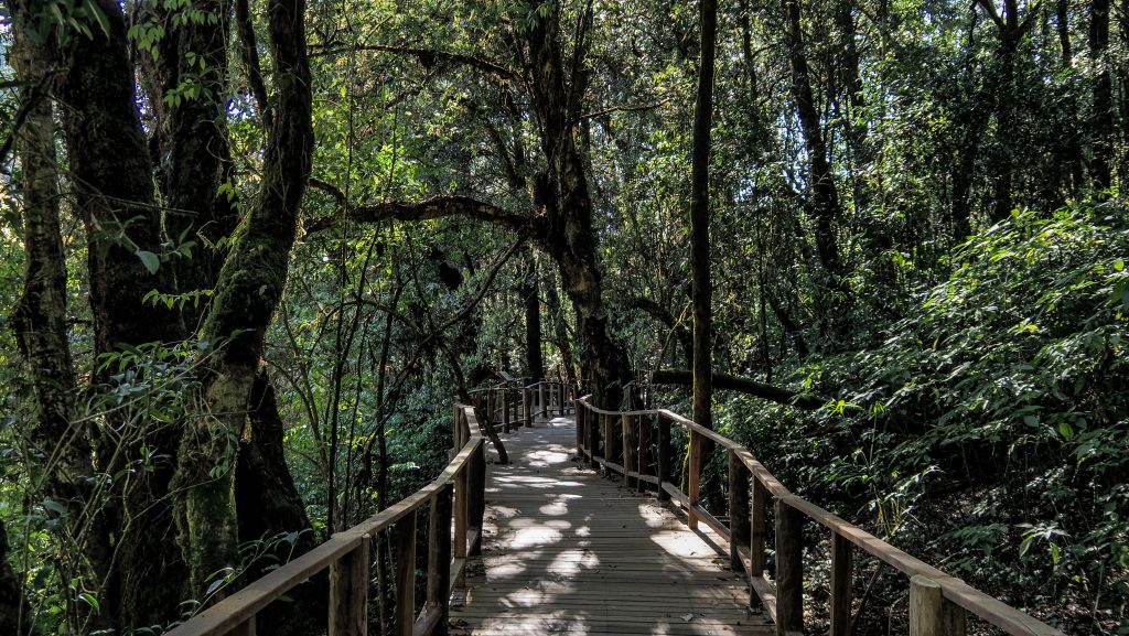 Doi Inthanon National Park