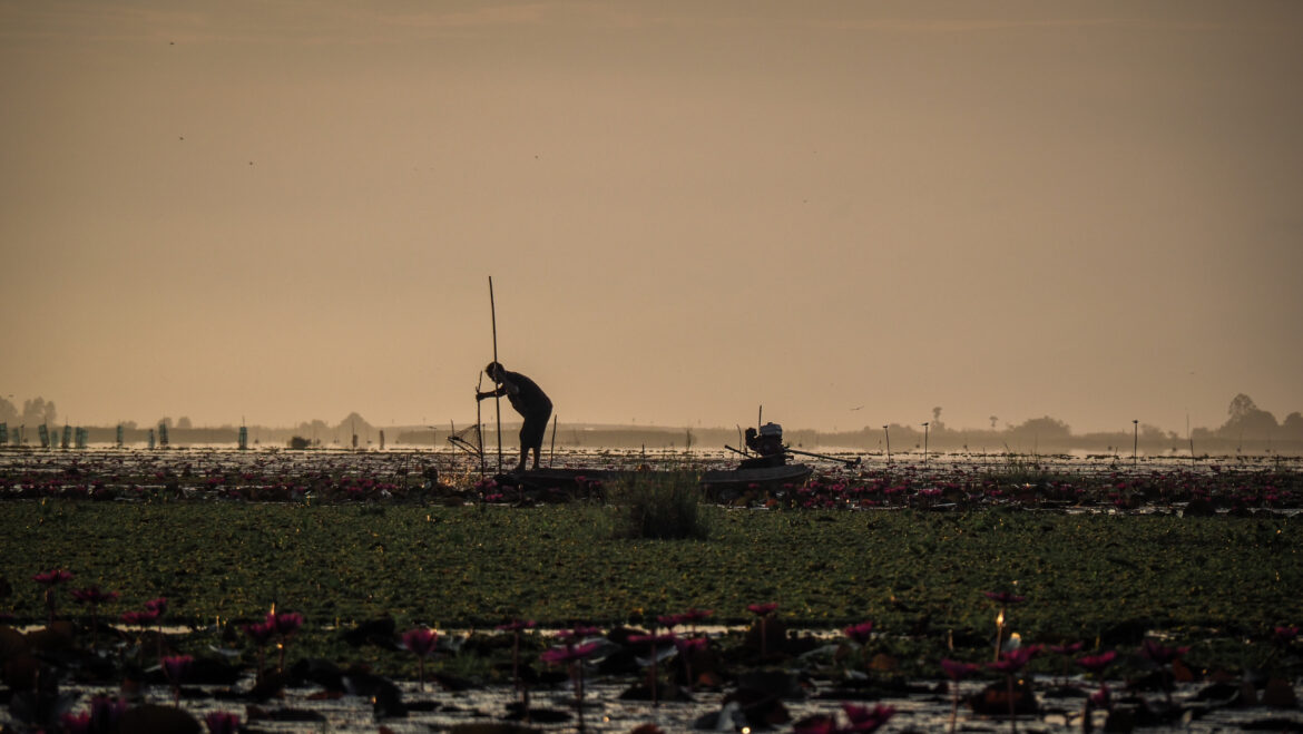 Thale Noi Lake, Thailand