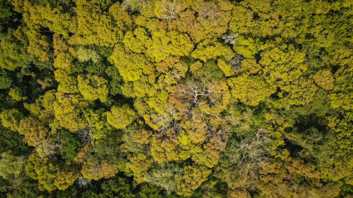 Mixed feelings after visiting Cat Tien National Park in Vietnam Cat Tien National Park, Vietnam
