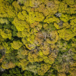 Cat Tien National Park, Vietnam