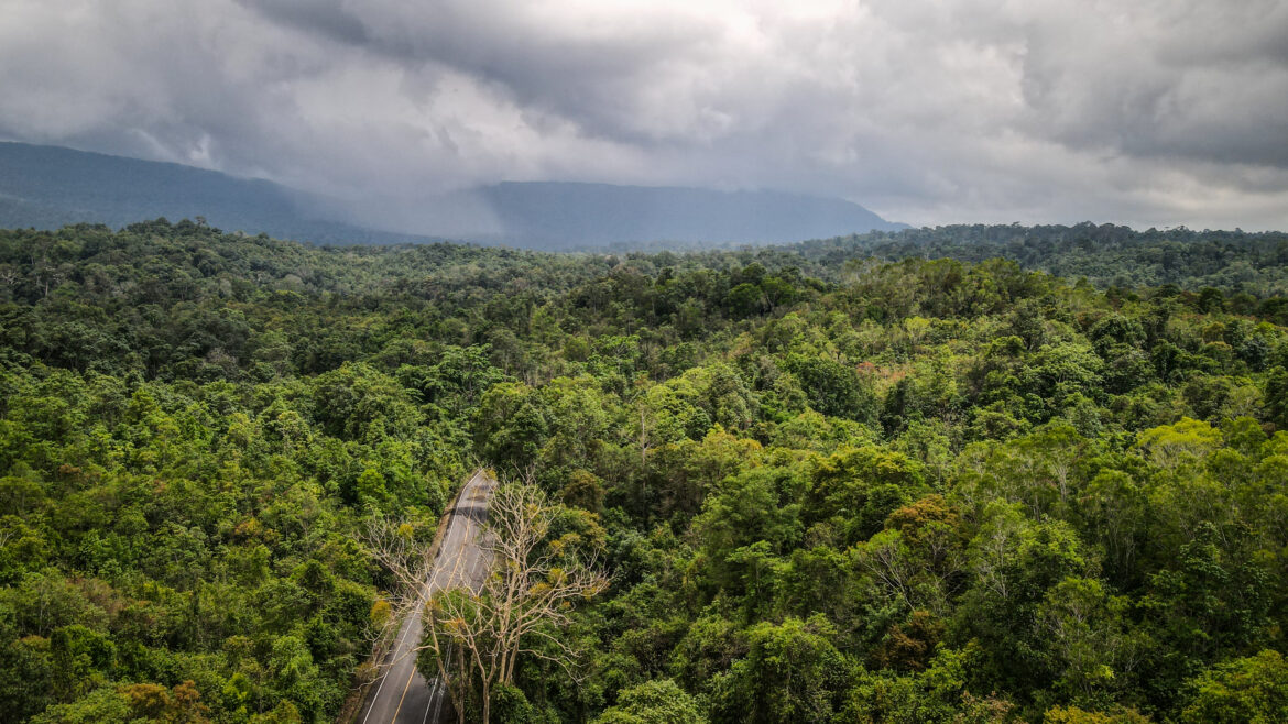 Khao Yai National Park, Thailand