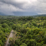 Khao Yai National Park, Thailand