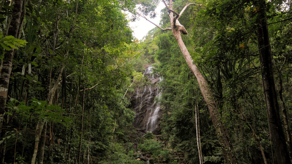 Koh Phangan, Thailand