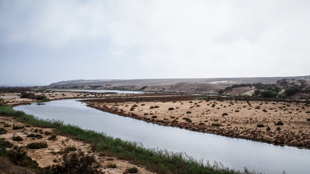 Souss-Massa National Park in Morocco