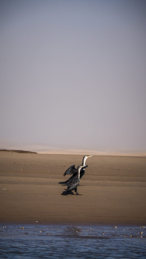 Akhfennir in Morocco