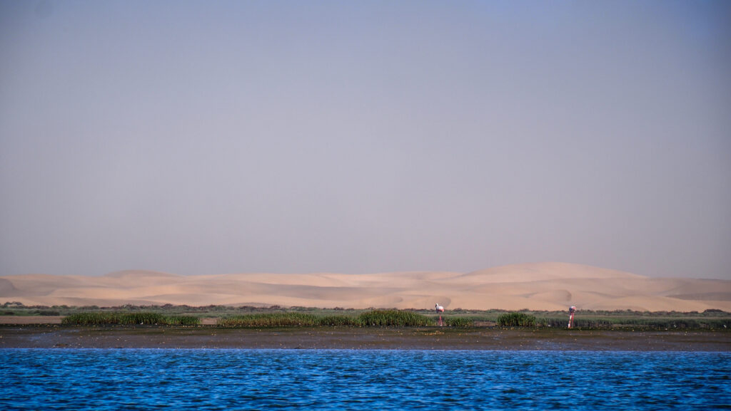 Khnifiss National Park in Morocco