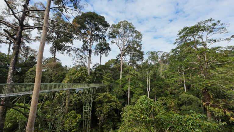 Sepilok, Sabah, Borneo