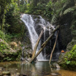Tawau Hills Park, Borneo