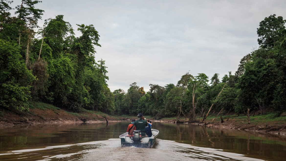 Kinabatangan River, Borneo