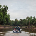 Kinabatangan River, Borneo