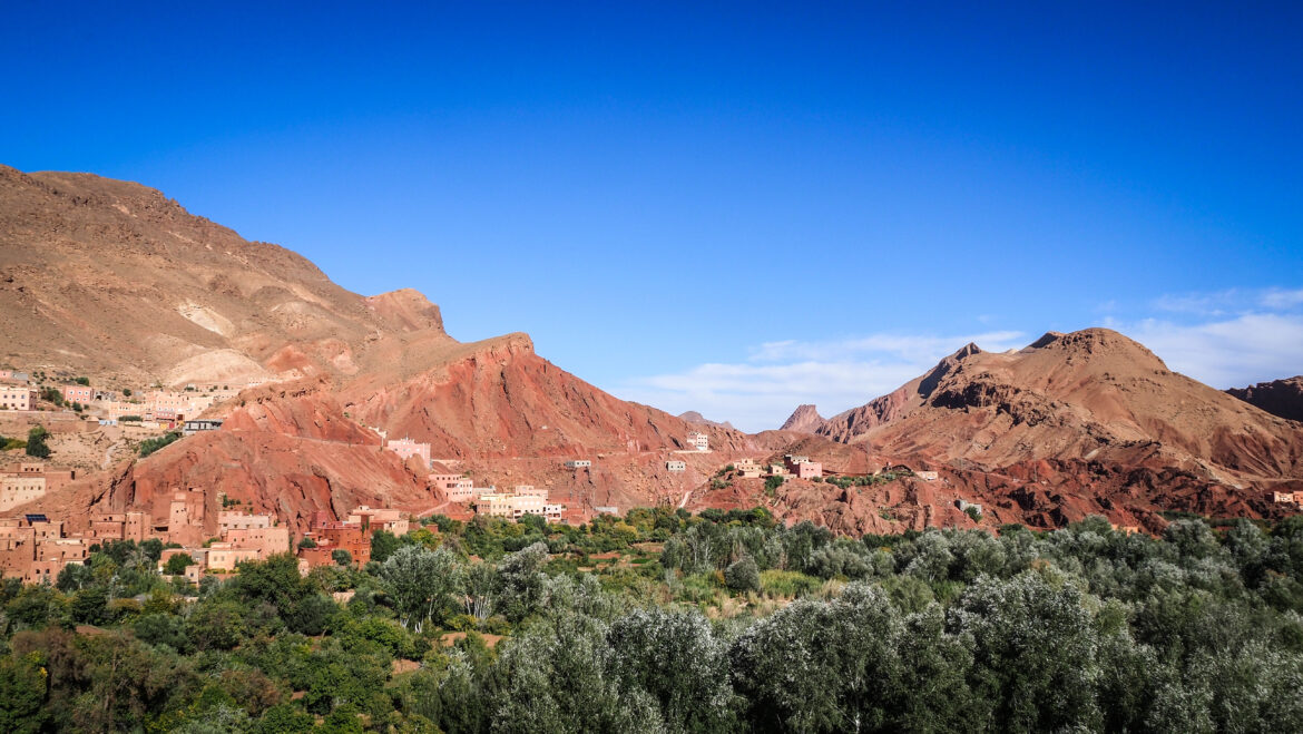 Dolina Róż: wizyta w kwiatowym raju Maroka Rose Valley, Morocco