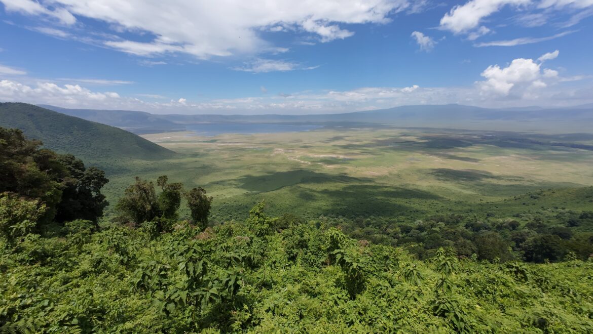 Ngorongoro Conservation Area: Volcanic Caldera Full of Wildlife Ngorongoro Crater, Tanzania