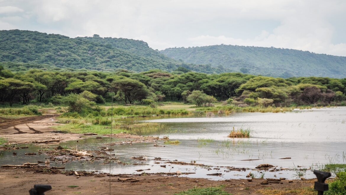 Lake Manyara, Tanzania