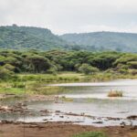 Lake Manyara, Tanzania