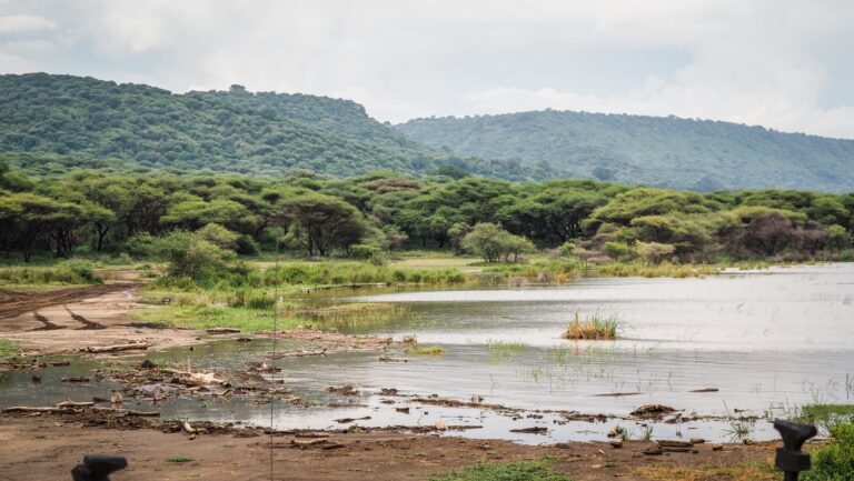 Lake Manyara, Tanzania