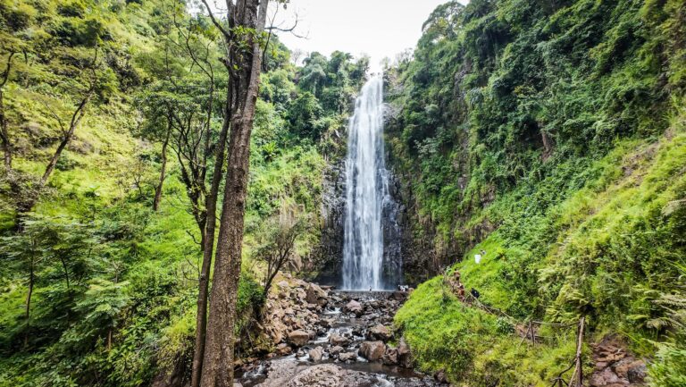 Materuni, Moshi, Tanzania