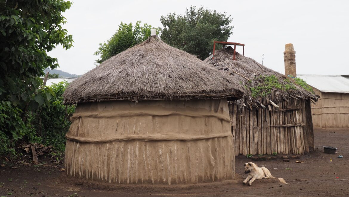 Monduli Juu Bush Maasai Experience: Visiting Boma and Saturday Market Masaai Village, Monduli, Tanzania