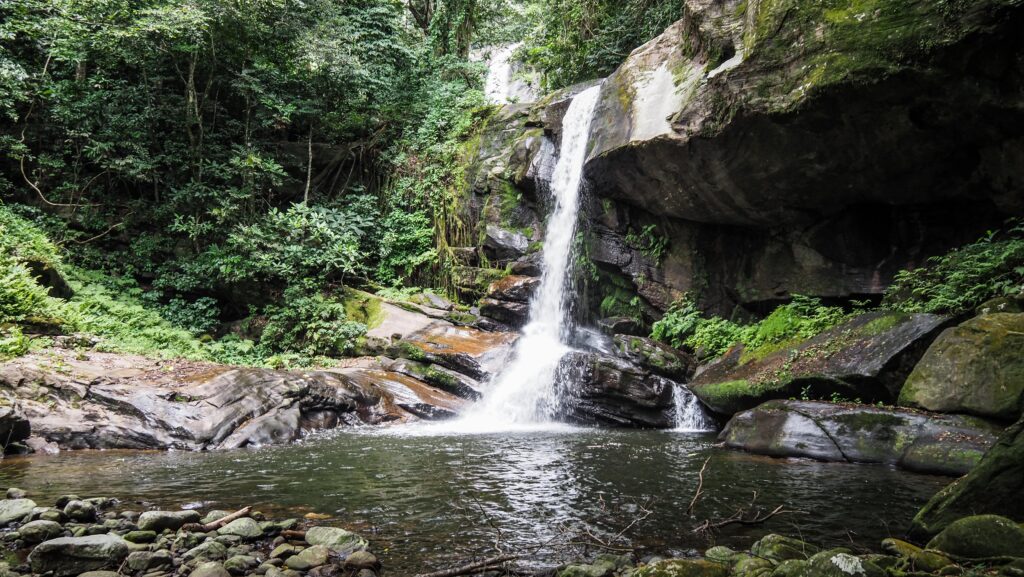 Udzungwa Mountains, Tanzania