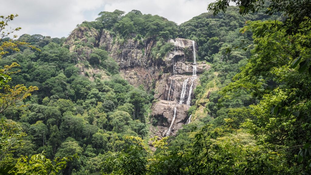 Udzungwa Mountains, Tanzania
