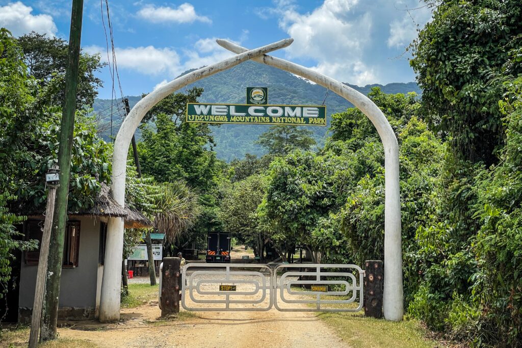 Udzungwa Mountains, Tanzania