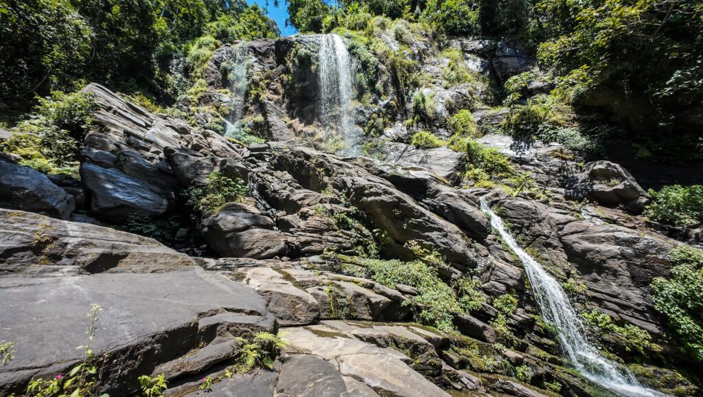 Udzungwa Mountains, Tanzania