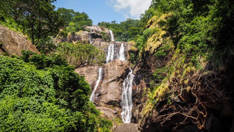 Udzungwa Mountains, Tanzania