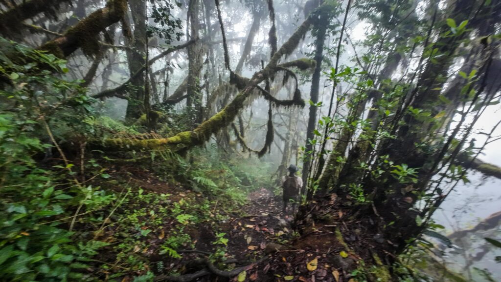 Lupanga Peak, Morogoro