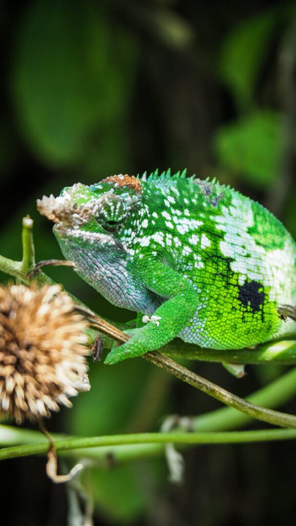 Lushoto, Tanzania