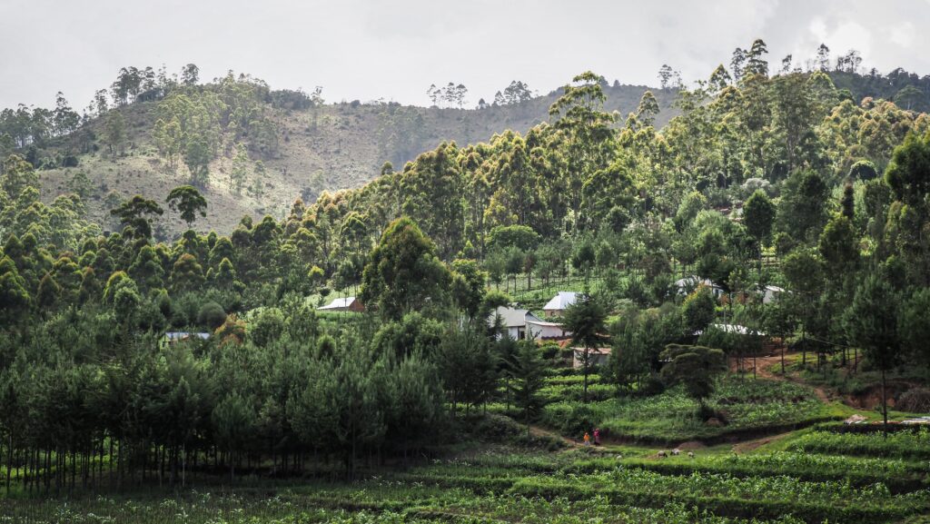 Lushoto, Tanzania
