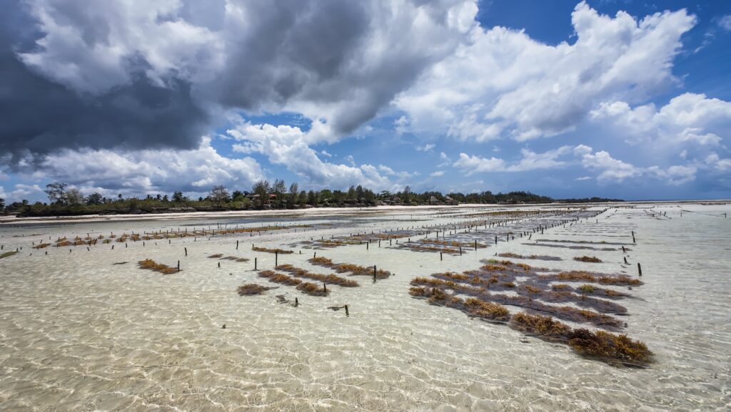 Zanzibar, Tanzania