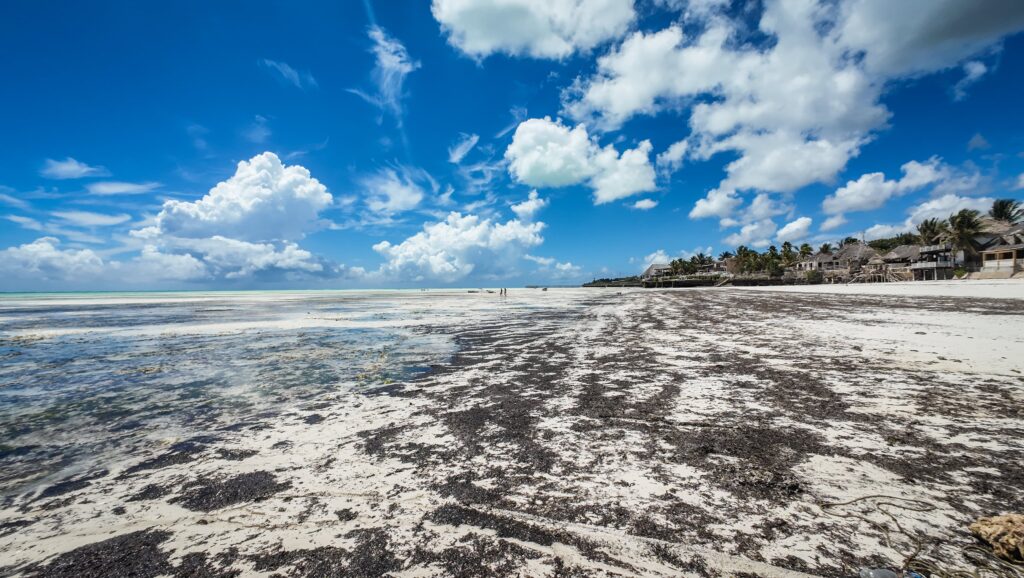 Zanzibar, Tanzania