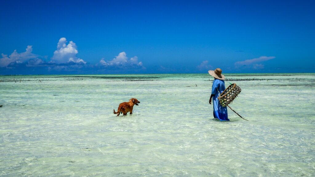 Zanzibar, Tanzania